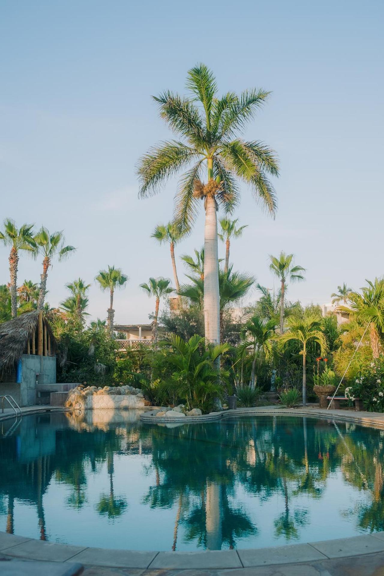 La Poza Boutique Hotel And Spa - Adults 15 Plus Тодос-Сантос Екстер'єр фото